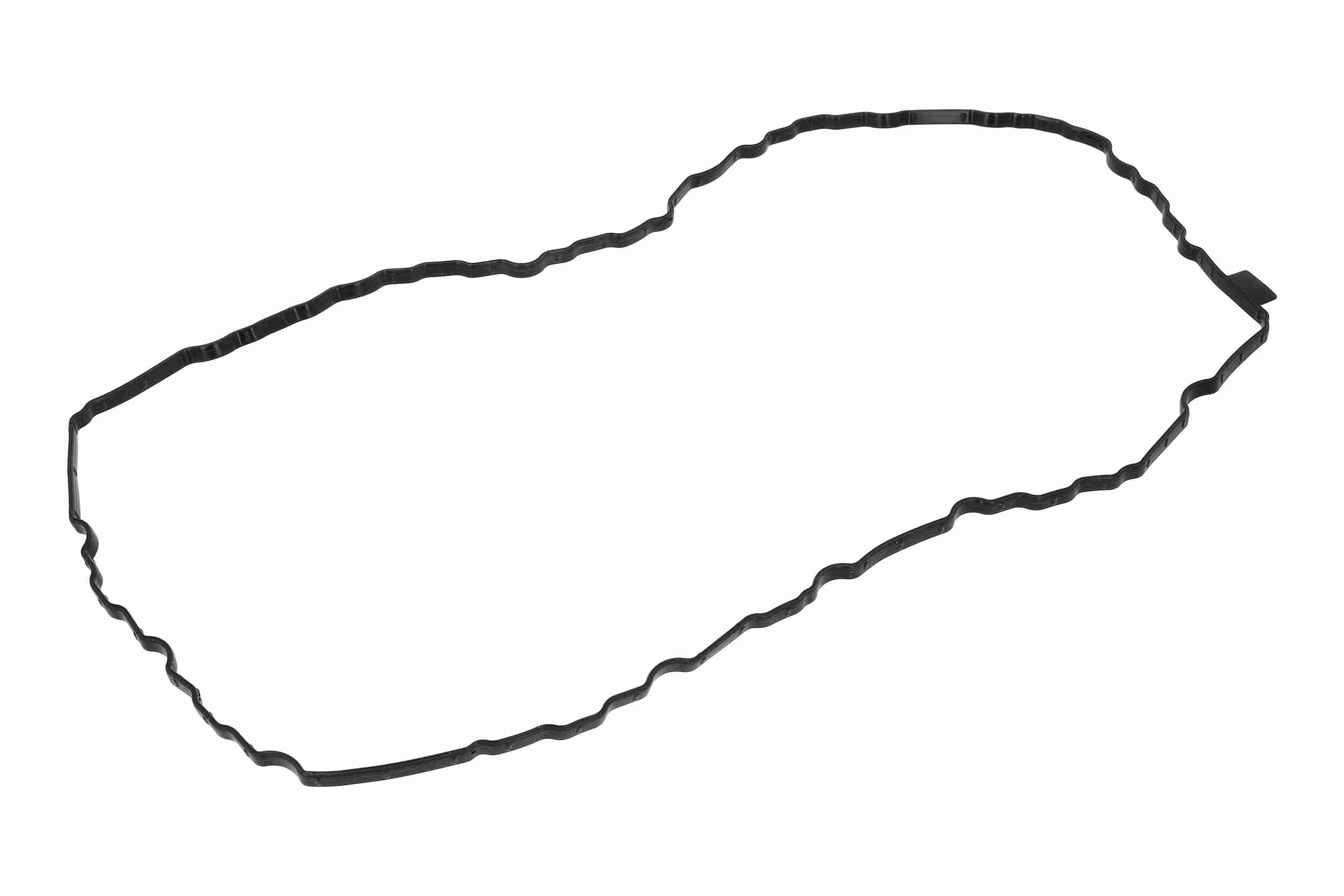 Vaico Carter pakking V10-6964