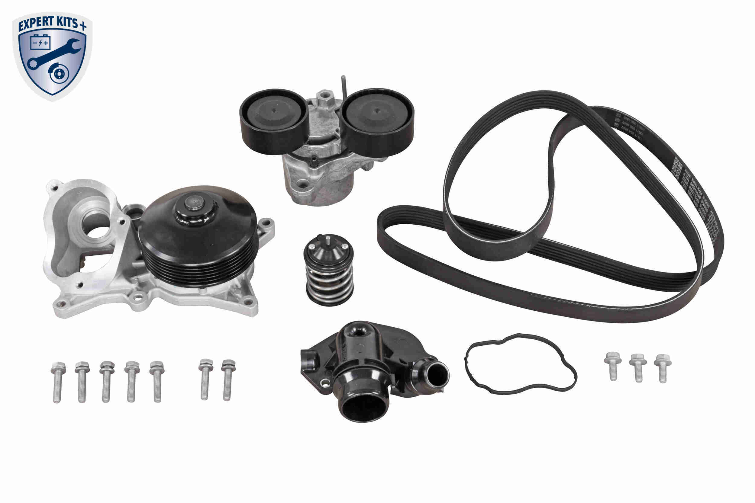 Vaico Distributieriem kit inclusief waterpomp V20-50103-BEK