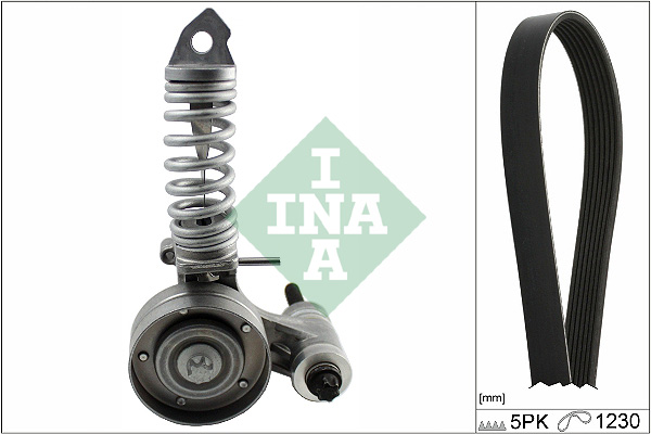 INA Poly V-riemen kit 529 0296 10