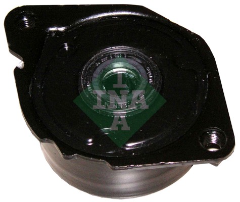 INA Spanner poly V-riem 534 0173 10