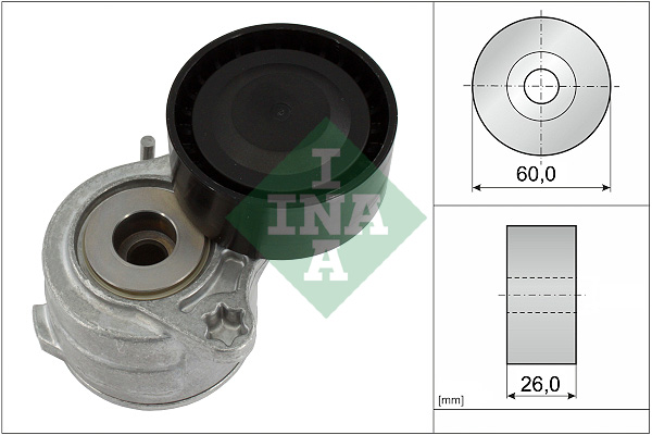 INA Spanner poly V-riem 534 0653 10