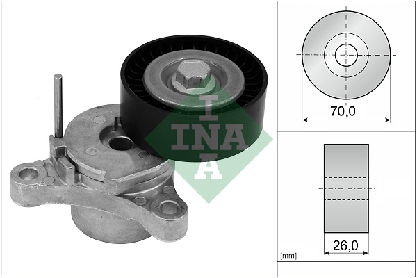 INA Spanner poly V-riem 534 0666 10