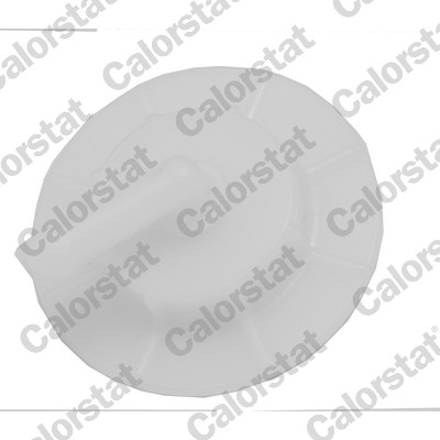 Calorstat By Vernet Radiateurdop RC0176