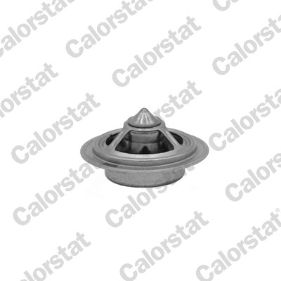 Calorstat By Vernet Thermostaat TBS1018.71