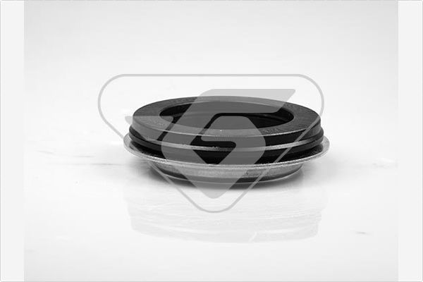 Hutchinson Veerpootlager & rubber 200069