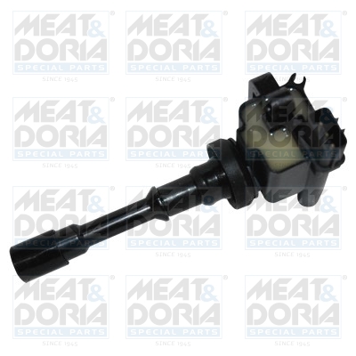 Meat Doria Bobine 10641