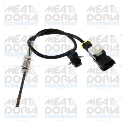Meat Doria Sensor uitlaatgastemperatuur 12015