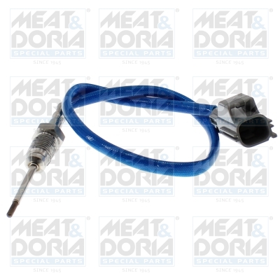 Meat Doria Sensor uitlaatgastemperatuur 12036