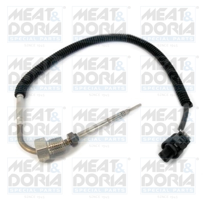 Meat Doria Sensor uitlaatgastemperatuur 12060
