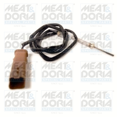 Meat Doria Sensor uitlaatgastemperatuur 12287