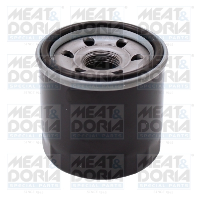 Meat Doria Filter/oliezeef automaatbak 21170