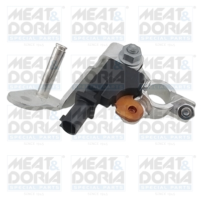 Meat Doria Accumanagement sensor 241014