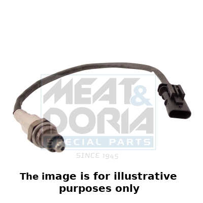 Meat Doria Lambda-sonde 811043E