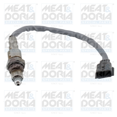 Meat Doria Lambda-sonde 811087