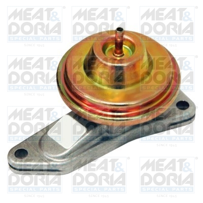 Meat Doria EGR-klep 88164