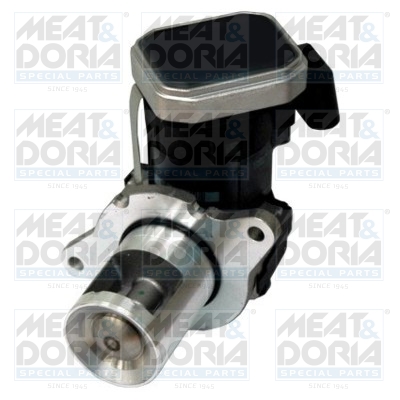 Meat Doria EGR-klep 88185