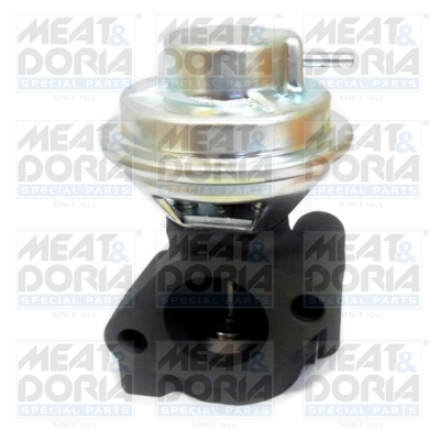 Meat Doria EGR-klep 88306