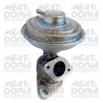 Meat Doria EGR-klep 88313