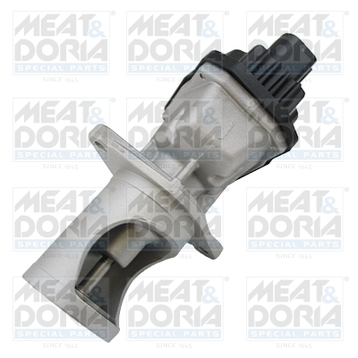 Meat Doria EGR-klep 88436R