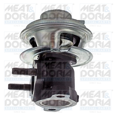 Meat Doria EGR-klep 88465