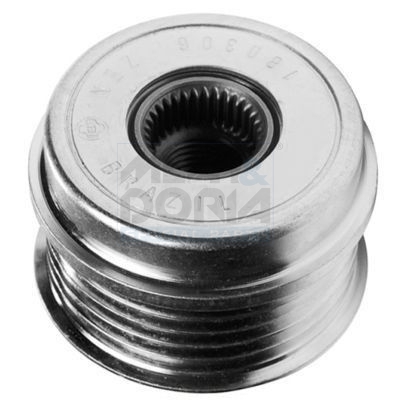 Meat Doria Dynamovrijloop 45018