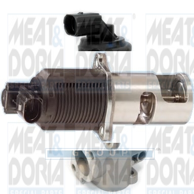 Meat Doria EGR-klep 88013R
