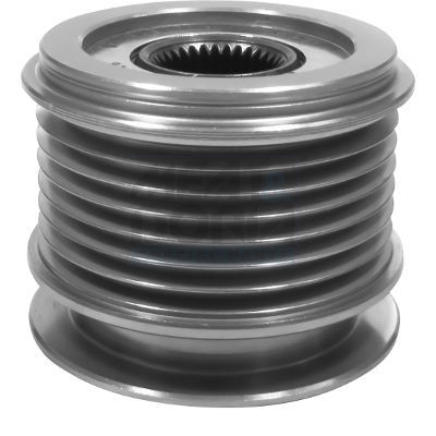 Meat Doria Dynamovrijloop 45150