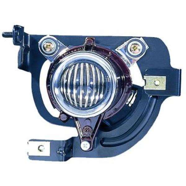 Diederichs Mistlamp 3041288