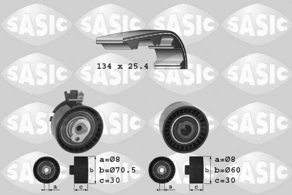Sasic Distributieriem kit 1750006