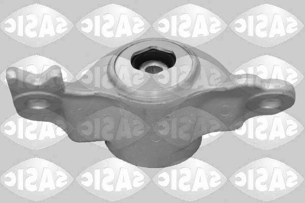 Sasic Veerpoot 2650147