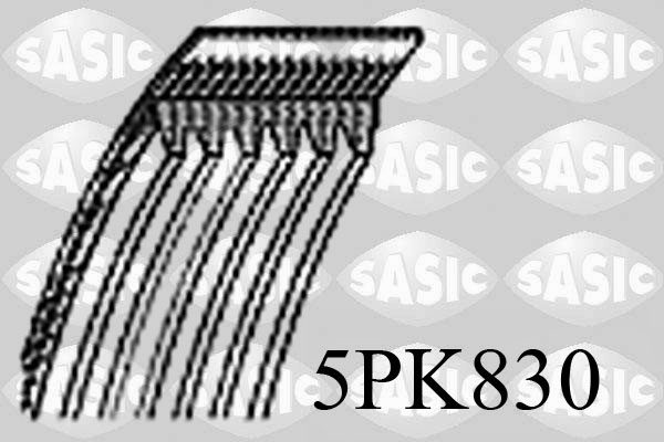 Sasic Poly V-riem 5PK830