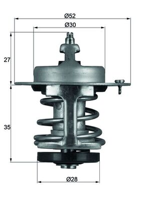 Mahle Original Thermostaat TX 69 79