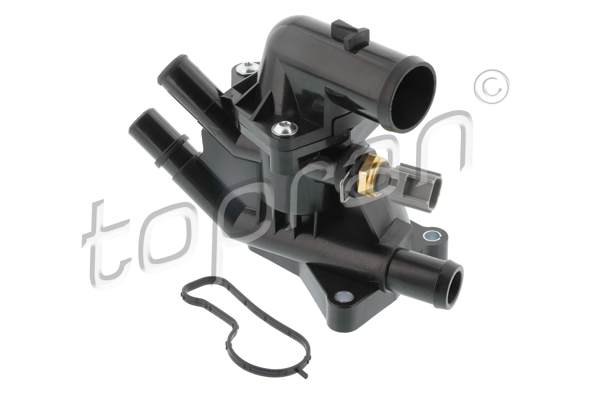 Topran Thermostaathuis 305 675