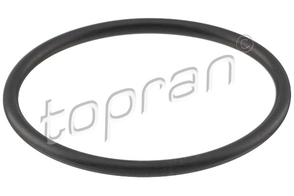 Topran Brandstofpomp pakking 100 842