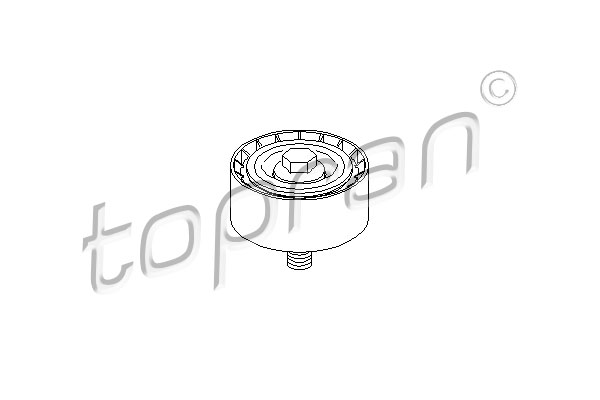 Topran Geleiderol (poly) V-riem 722 417