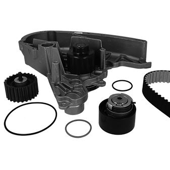 Graf Distributieriem kit inclusief waterpomp KP900-1