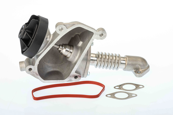 Borgwarner EGR-klep 7206D