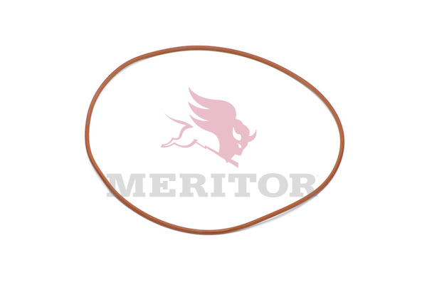 Meritor Differentieel pakking 5X1002