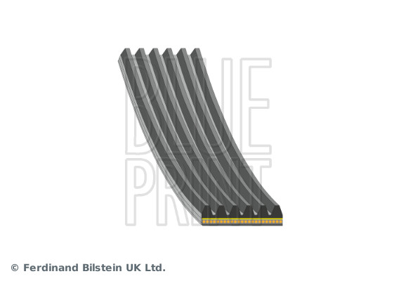 Blue Print Poly V-riem AD06A1805
