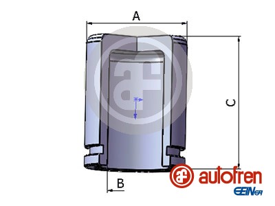 Autofren Seinsa Remzadel/remklauw zuiger D025231