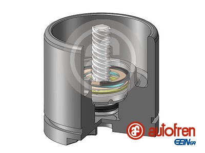 Autofren Seinsa Remzadel/remklauw zuiger D025256LK