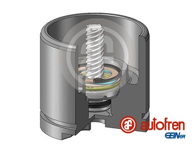 Autofren Seinsa Remzadel/remklauw zuiger D025256RK