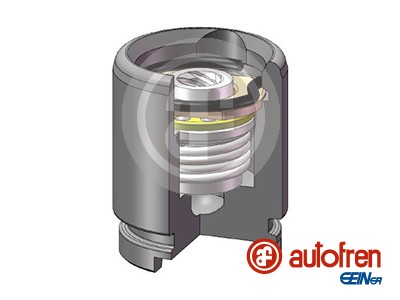 Autofren Seinsa Remzadel/remklauw zuiger D025257K