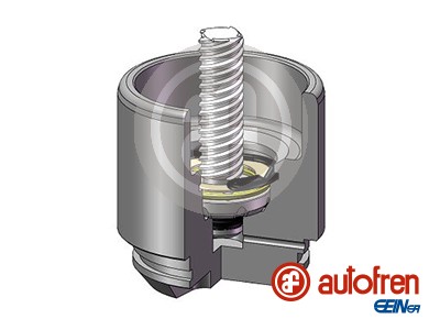 Autofren Seinsa Remzadel/remklauw zuiger D025691RK