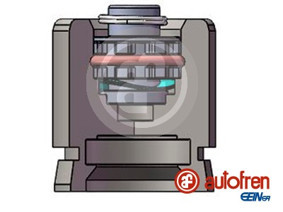 Autofren Seinsa Remzadel/remklauw zuiger D025712K