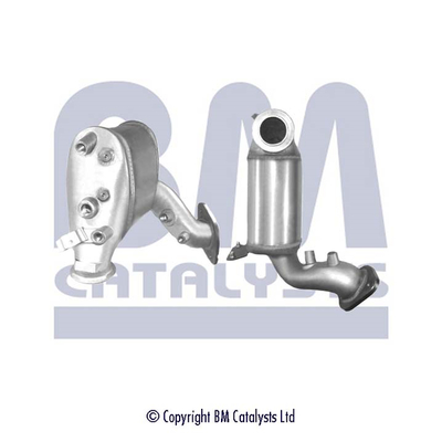 Bm Catalysts Roetfilter BM11113