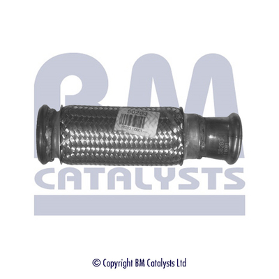 Bm Catalysts Uitlaatpijp BM50203
