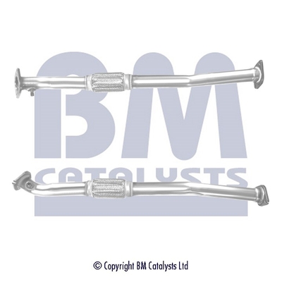 Bm Catalysts Uitlaatpijp BM50446