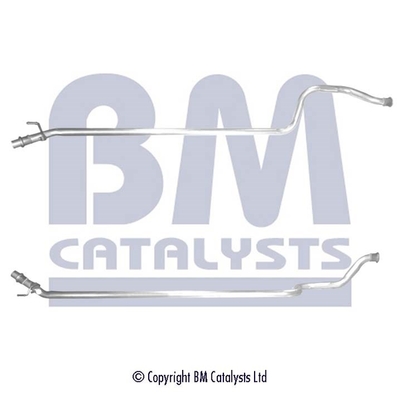 Bm Catalysts Uitlaatpijp BM50463