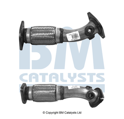 Bm Catalysts Uitlaatpijp BM50514